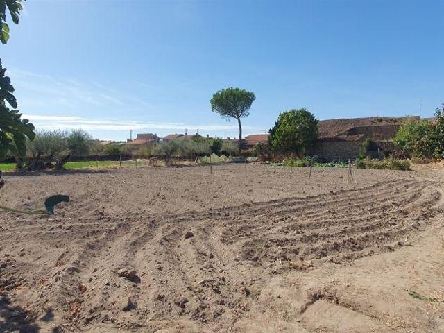 Terreno Rústico Venda em Algodres, Vale de Afonsinho e Vilar de Amargo,Figueira de Castelo Rodrigo | 26063967330