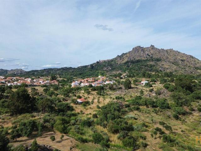 Terreno Rústico Venda em Monsanto e Idanha a Velha,Idanha a Nova | 26063975405