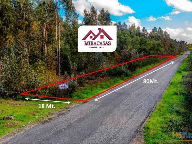 Terreno Rústico Venda em Mira,Mira | 26063919112