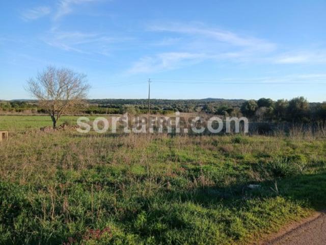 Terreno Rústico Venda em São Bartolomeu de Messines,Silves