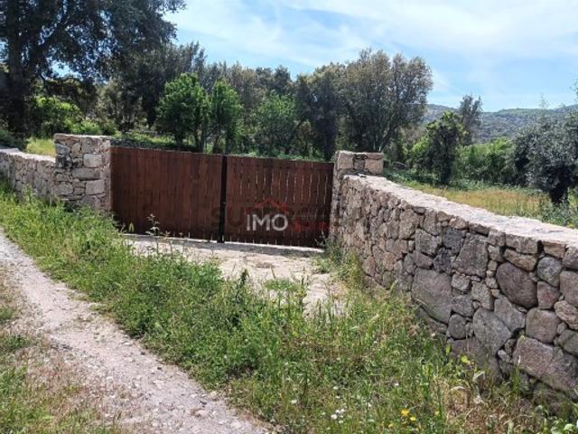 Terreno Rústico Venda em Santo António das Areias,Marvão