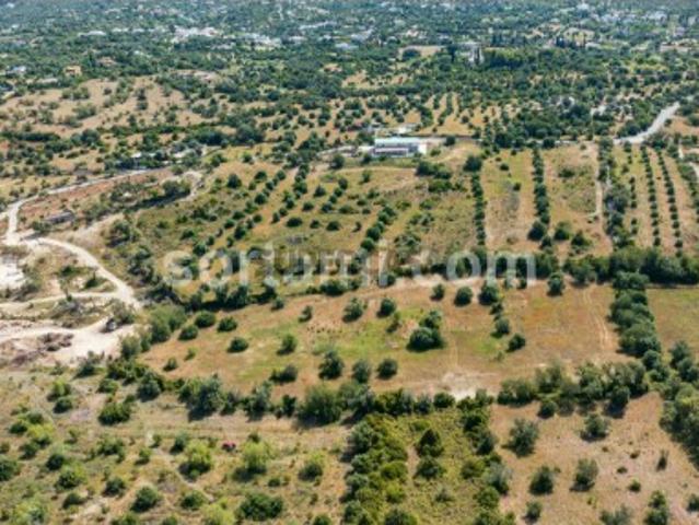 Terreno Rústico Venda em Santa Bárbara de Nexe,Faro