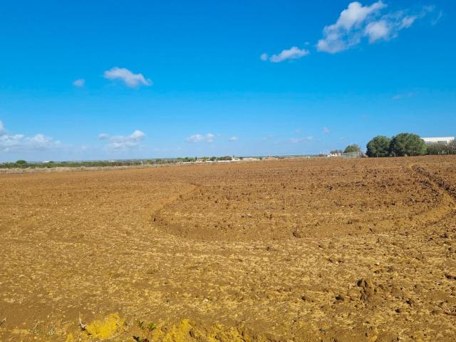 Terreno Rústico Venta Cádiz
