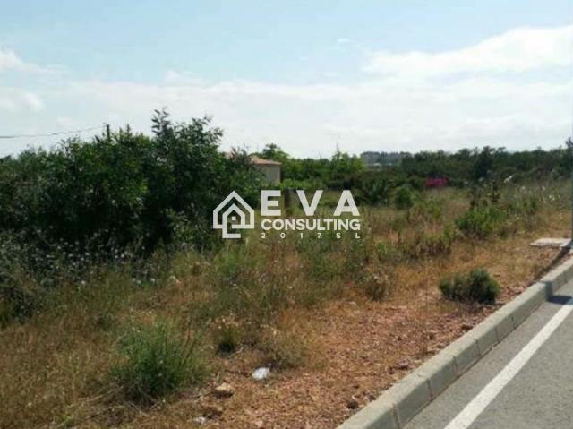 Terreno Rústico Venta Castellón