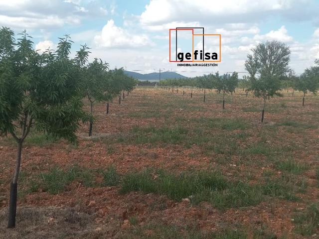 Terreno Rústico Venta Ciudad Real