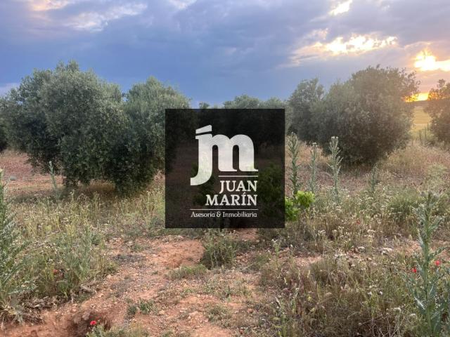 Terreno Rústico Venta Albacete