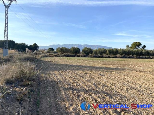 Terreno Rústico Venta Albacete