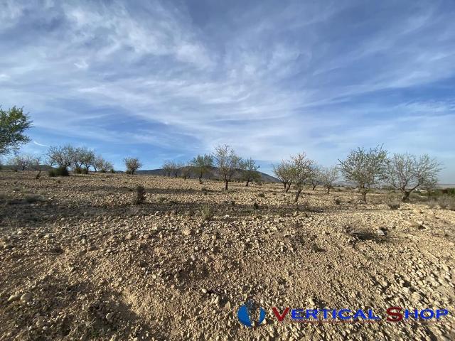 Terreno Rústico Venta Albacete