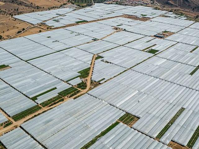 Terreno Rústico Venta Almería