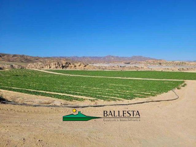 Terreno Rústico Venta Almería