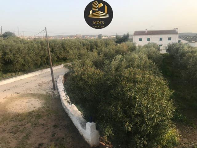 Terreno Rústico Venta Jaén