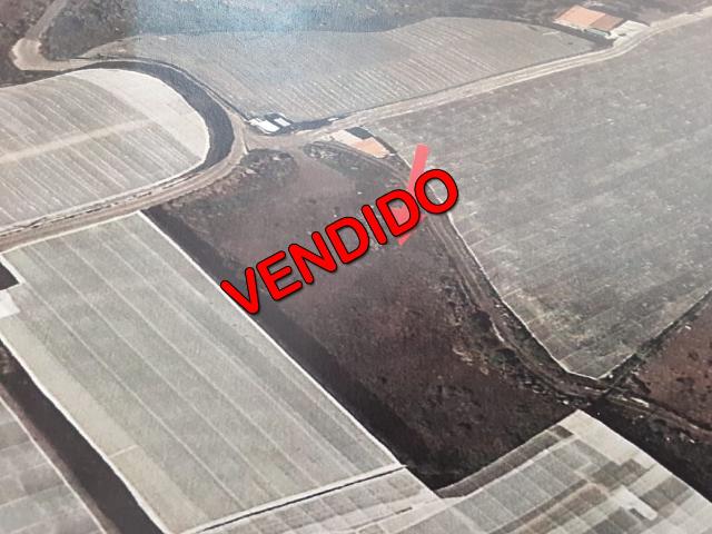 Terreno Rústico Venta Las Palmas