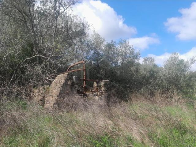 Terreno Rústico, Vimeiro, Salir, Loulé, Algarve