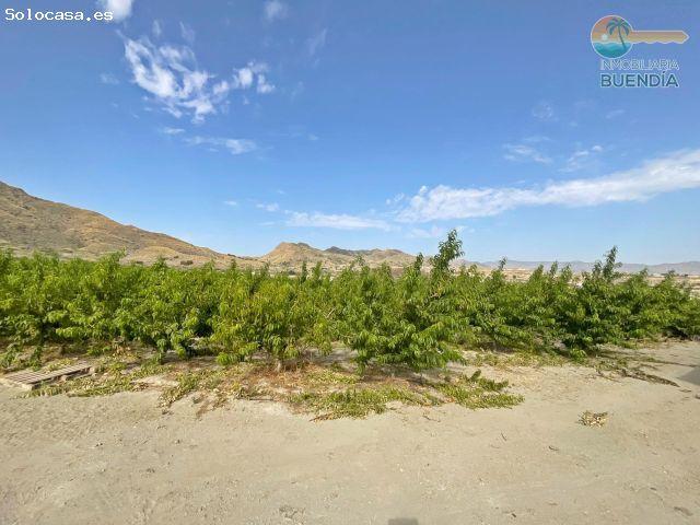 TERRENO RUSTICO Y CASA DE APEROS CON VISTAS A LA MONTAÑA