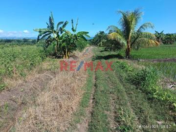 Terreno Rural Cerca A Tarapoto