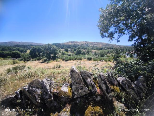 Terreno rural com granitos, oliveiras e vinhas Fornos de Algodres, Muxagata Guarda