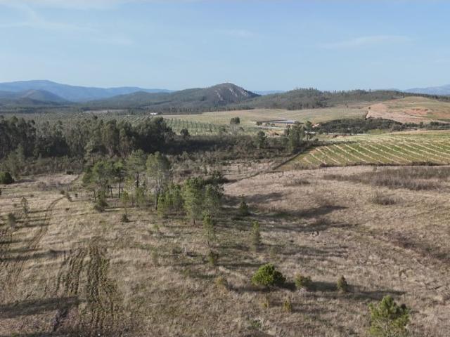 Terreno Rural com Poço, Armazém Rústico e Vista para a Montanha Perto de Castelo Branco