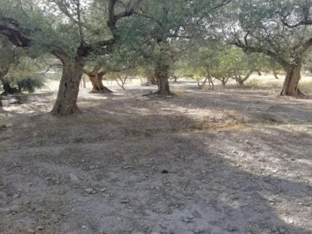 TERRENO RURAL CON AGUA