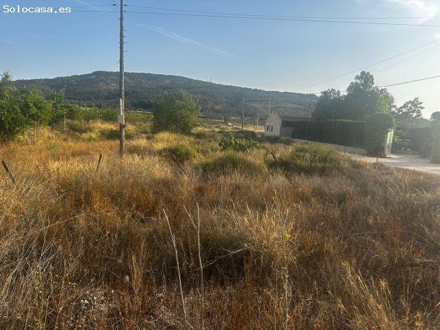 ? Terreno rural de 13.000 m2 en Casas del Señor Monóvar ? ¡Solo 10.000€!