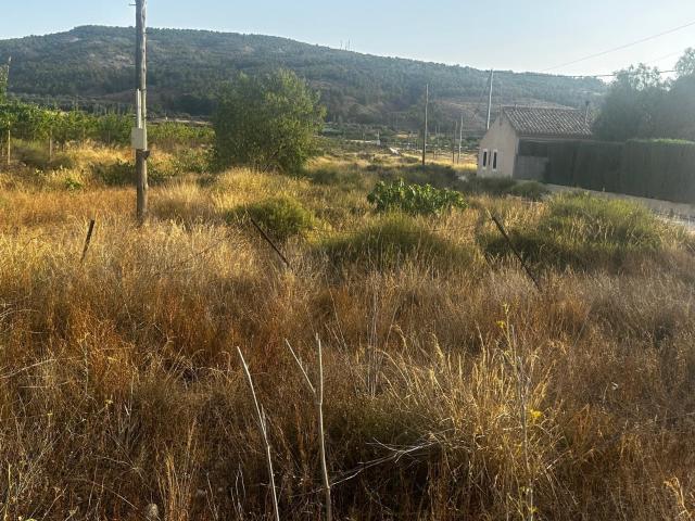 Terreno rural de 13.000 m2 en Casas del Señor Monóvar