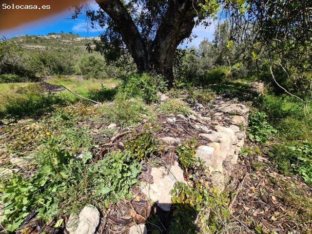 Terreno Rural de 28.000 m2 en La Ràpita Oportunidad Única por €77,000