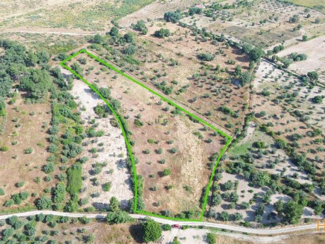 Terreno rural em Penamacor | 26064039116