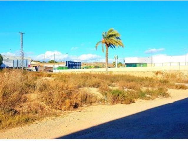 Terreno rural en Alquiler en Crevillente, Alicante