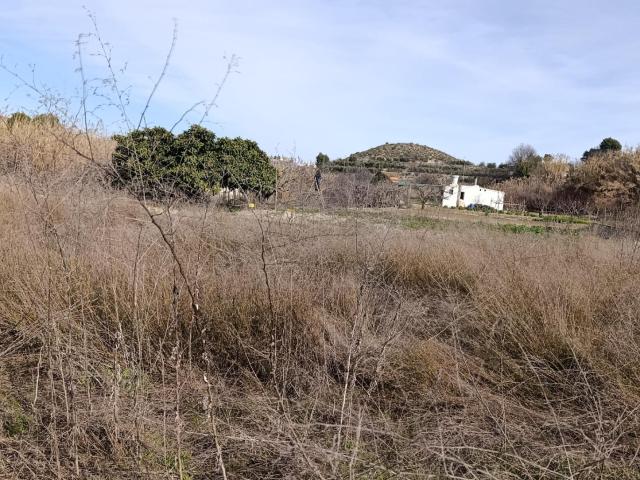 TERRENO RURAL EN CEHEGIN