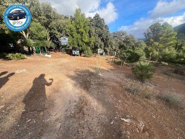 Terreno Rural en El Bosque ?