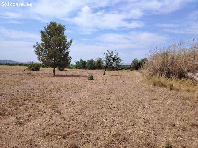 TERRENO RURAL EN LLÍRIA