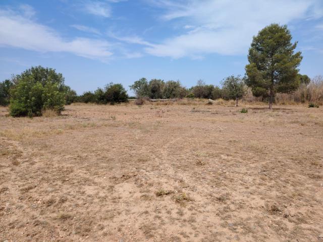TERRENO RURAL EN LLÍRIA