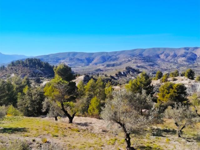 Terreno Rural en Quatretondeta con Potencial de Inversión en mas propiedades