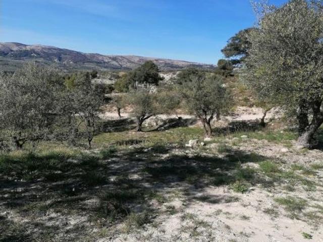 Terreno Rural en Quatretondeta con Potencial de Inversión en mas propiedades