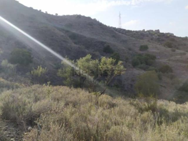 Terreno rural en venta. Málaga
