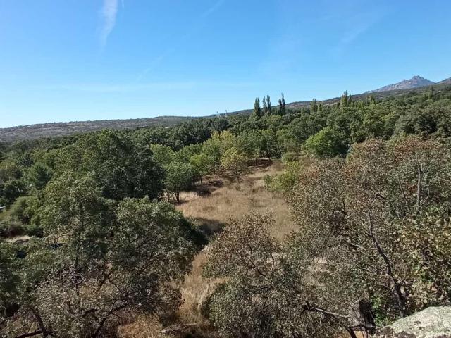 Terreno rural en venta. Miraflores de la Sierra
