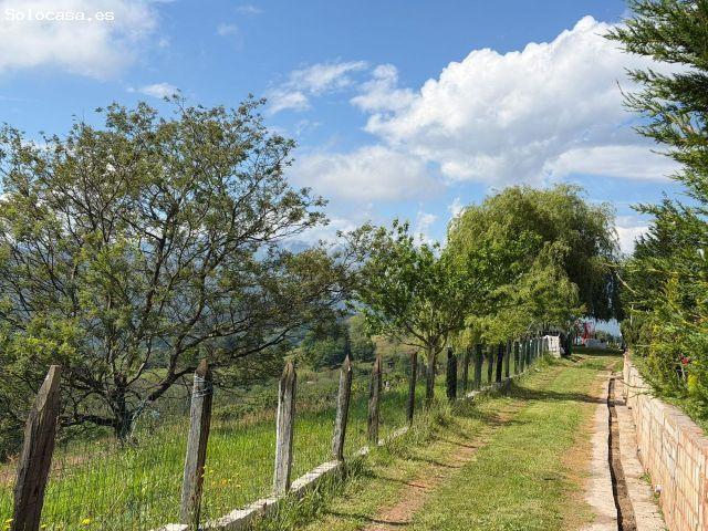 Terreno rural en Venta en Oviedo, Asturias