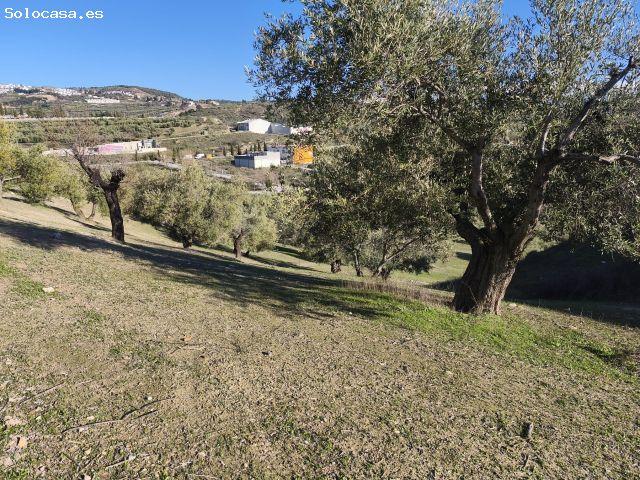 Terreno rural en Venta en Alfacar, Granada