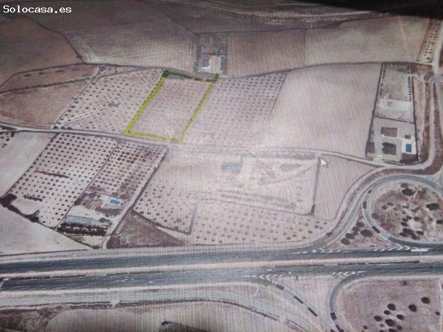 Terreno rural en Venta en Almansa, Albacete