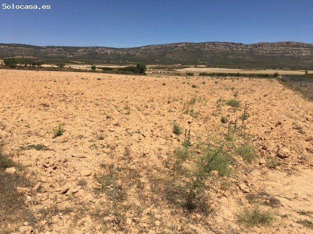 Terreno rural en Venta en Almansa, Albacete