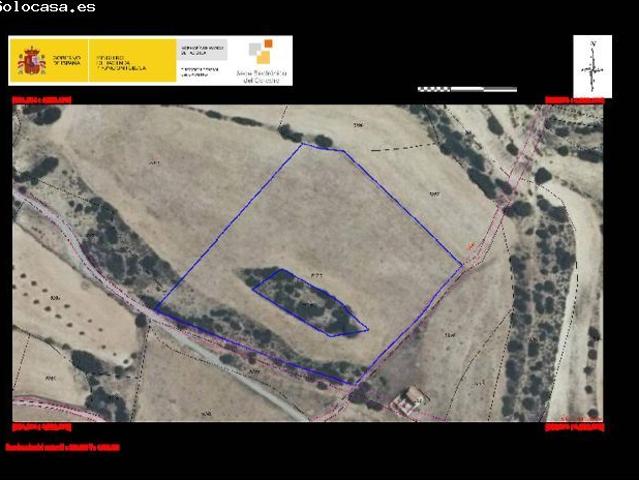 Terreno rural en Venta en Almansa, Albacete