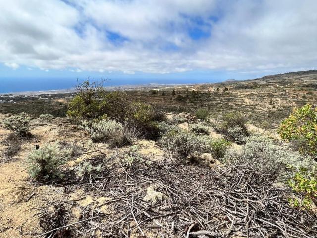 TERRENO RURAL EN VENTA EN ARICO VIEJO – Sur de Tenerife