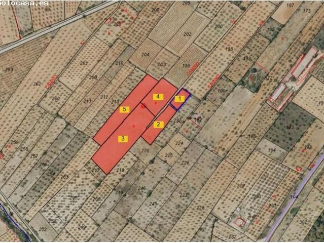 Terreno rural en Venta en Benlloch, Castellón
