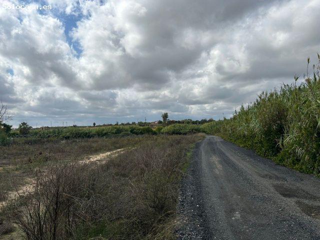 Terreno rural en Venta en Bollullos par del Condado, Huelva