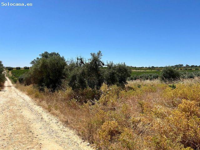 Terreno rural en Venta en Bollullos par del Condado, Huelva