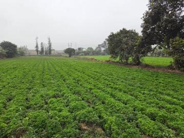 Terreno Rural En Venta En Carabayllo