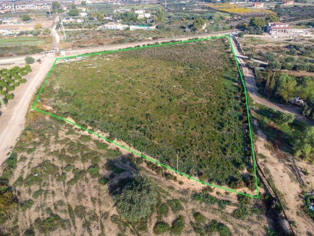 Terreno rural en Venta en Crevillente, Alicante