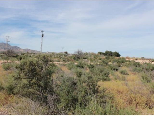 Terreno rural en Venta en Crevillente, Alicante