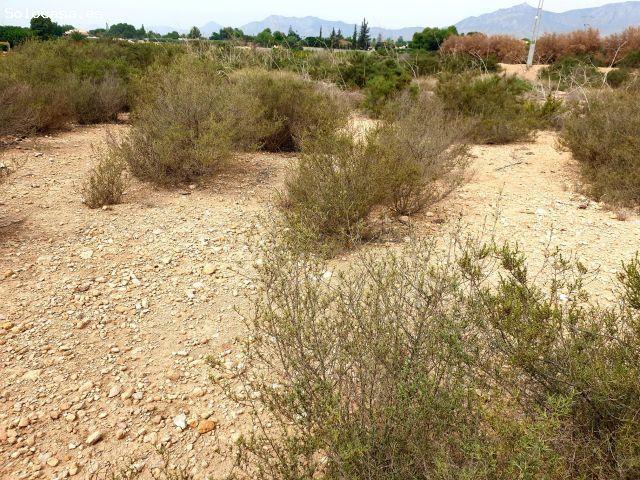 Terreno rural en Venta en Crevillente, Alicante