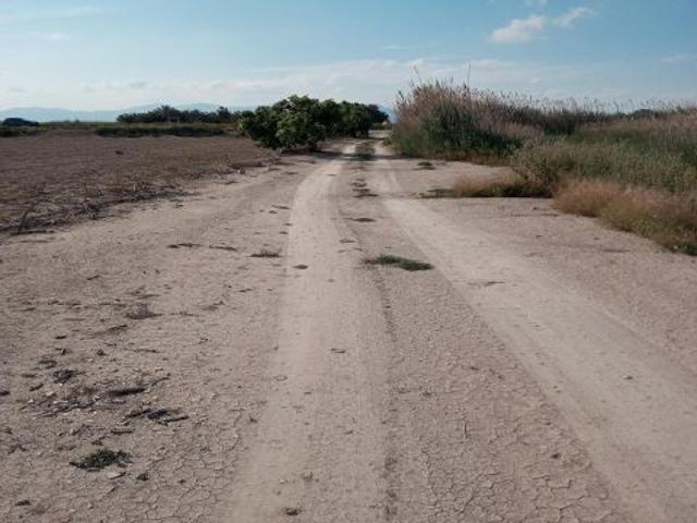 Terreno rural en Venta en Elche pedanias, Alicante