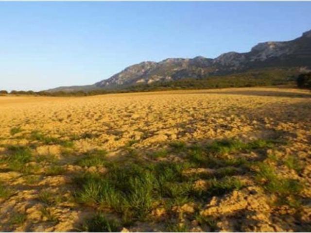 Terreno rural en Venta en Laguardia, Álava